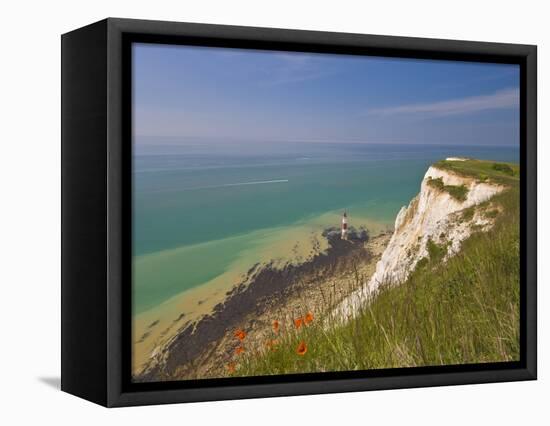 Beachy Head Lighthouse, White Chalk Cliffs, Poppies and English Channel, East Sussex, England, Uk-Neale Clarke-Framed Premier Image Canvas