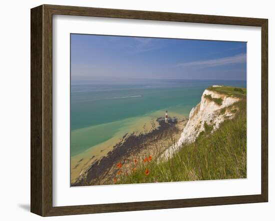 Beachy Head Lighthouse, White Chalk Cliffs, Poppies and English Channel, East Sussex, England, Uk-Neale Clarke-Framed Photographic Print