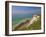 Beachy Head Lighthouse, White Chalk Cliffs, Poppies and English Channel, East Sussex, England, Uk-Neale Clarke-Framed Photographic Print