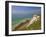 Beachy Head Lighthouse, White Chalk Cliffs, Poppies and English Channel, East Sussex, England, Uk-Neale Clarke-Framed Photographic Print