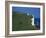 Beachy Head, South Downs, East Sussex, England, United Kingdom, Europe-David Hughes-Framed Photographic Print