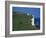 Beachy Head, South Downs, East Sussex, England, United Kingdom, Europe-David Hughes-Framed Photographic Print