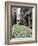 Beacon Hill-Carol Highsmith-Framed Photo