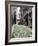 Beacon Hill-Carol Highsmith-Framed Photo