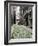 Beacon Hill-Carol Highsmith-Framed Photo