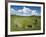 Beaghmore Stone Circle Complex-Kevin Schafer-Framed Photographic Print