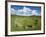 Beaghmore Stone Circle Complex-Kevin Schafer-Framed Photographic Print