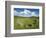 Beaghmore Stone Circle Complex-Kevin Schafer-Framed Photographic Print