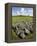 Beaghmore Stone Circles-Kevin Schafer-Framed Premier Image Canvas