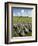 Beaghmore Stone Circles-Kevin Schafer-Framed Premium Photographic Print