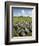 Beaghmore Stone Circles-Kevin Schafer-Framed Photographic Print