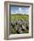 Beaghmore Stone Circles-Kevin Schafer-Framed Photographic Print