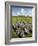 Beaghmore Stone Circles-Kevin Schafer-Framed Photographic Print