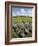 Beaghmore Stone Circles-Kevin Schafer-Framed Photographic Print