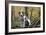 Beagle 09-Bob Langrish-Framed Photographic Print