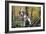 Beagle 09-Bob Langrish-Framed Photographic Print