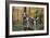 Beagle 11-Bob Langrish-Framed Photographic Print