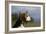 Beagle 66-Bob Langrish-Framed Photographic Print