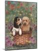 Beagle and Golden Retriever-Judy Mastrangelo-Mounted Giclee Print