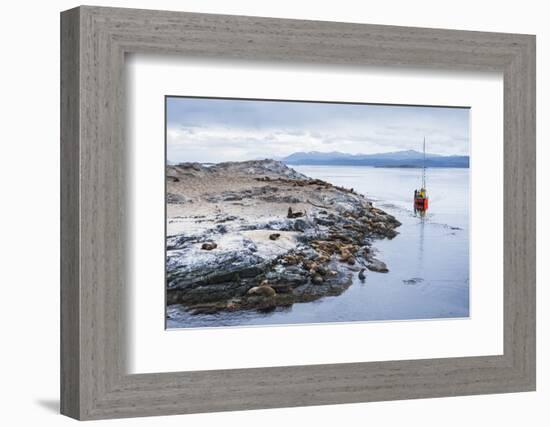 Beagle Channel Sailing Boat Observing Sea Lion Colony, Argentina-Matthew Williams-Ellis-Framed Photographic Print