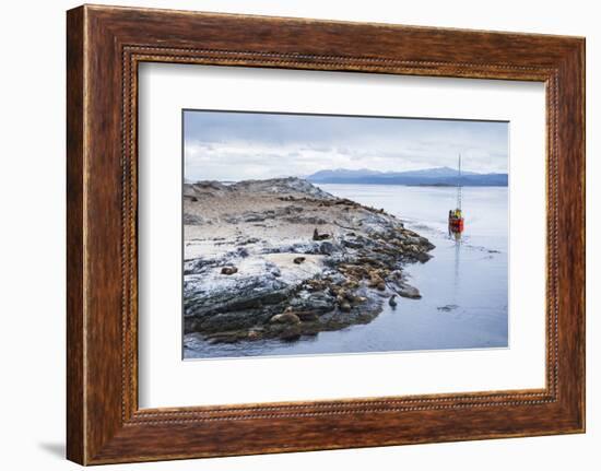 Beagle Channel Sailing Boat Observing Sea Lion Colony, Argentina-Matthew Williams-Ellis-Framed Photographic Print