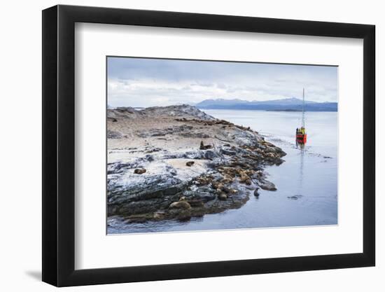 Beagle Channel Sailing Boat Observing Sea Lion Colony, Argentina-Matthew Williams-Ellis-Framed Photographic Print