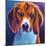 Beagle - Chester-Dawgart-Mounted Giclee Print