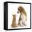 Beagle Dog, Bruce, with Ginger Kitten, Tom-Mark Taylor-Framed Premier Image Canvas