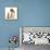 Beagle Dog, Bruce, with Ginger Kitten, Tom-Mark Taylor-Framed Premier Image Canvas displayed on a wall