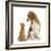 Beagle Dog, Bruce, with Ginger Kitten, Tom-Mark Taylor-Framed Photographic Print