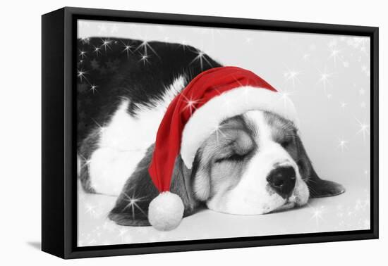 Beagle Dog Puppy Asleep Wearing a Christmas Hat-null-Framed Premier Image Canvas