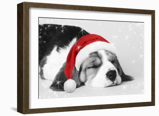 Beagle Dog Puppy Asleep Wearing a Christmas Hat-null-Framed Photographic Print