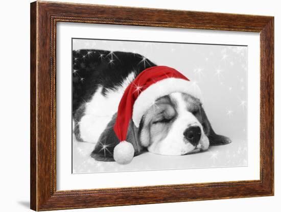 Beagle Dog Puppy Asleep Wearing a Christmas Hat-null-Framed Photographic Print