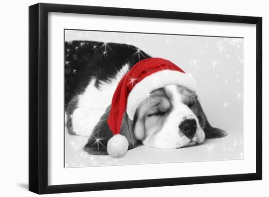 Beagle Dog Puppy Asleep Wearing a Christmas Hat-null-Framed Photographic Print