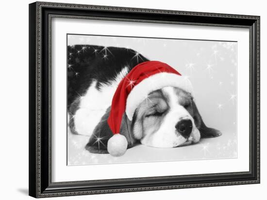 Beagle Dog Puppy Asleep Wearing a Christmas Hat-null-Framed Photographic Print