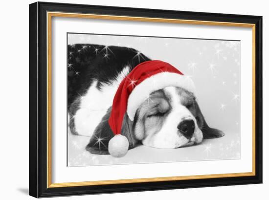 Beagle Dog Puppy Asleep Wearing a Christmas Hat-null-Framed Photographic Print