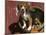 Beagle Dog Puppy-Lynn M. Stone-Mounted Photographic Print