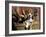 Beagle Dog Puppy-Lynn M. Stone-Framed Photographic Print