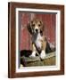 Beagle Dog Puppy-Lynn M. Stone-Framed Photographic Print