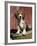 Beagle Dog Puppy-Lynn M. Stone-Framed Photographic Print