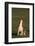 Beagle Howling in Grass-DLILLC-Framed Photographic Print