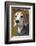 Beagle In Coat-maaram-Framed Photographic Print