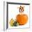 Beagle in Pumpkin-igorr-Framed Photographic Print