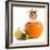 Beagle in Pumpkin-igorr-Framed Photographic Print