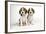 Beagle Puppies Sitting Down-null-Framed Photographic Print