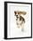 Beagle Puppy Running-Mark Taylor-Framed Photographic Print