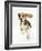 Beagle Puppy Running-Mark Taylor-Framed Photographic Print