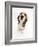 Beagle Puppy Sitting and Looking Up-Mark Taylor-Framed Photographic Print