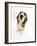 Beagle Puppy Sitting and Looking Up-Mark Taylor-Framed Photographic Print