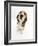 Beagle Puppy Sitting and Looking Up-Mark Taylor-Framed Photographic Print